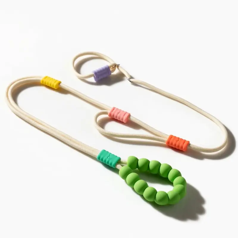 Adjustable Dog Leash with Shock Absorption