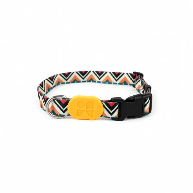 Fashion Dog Collar
