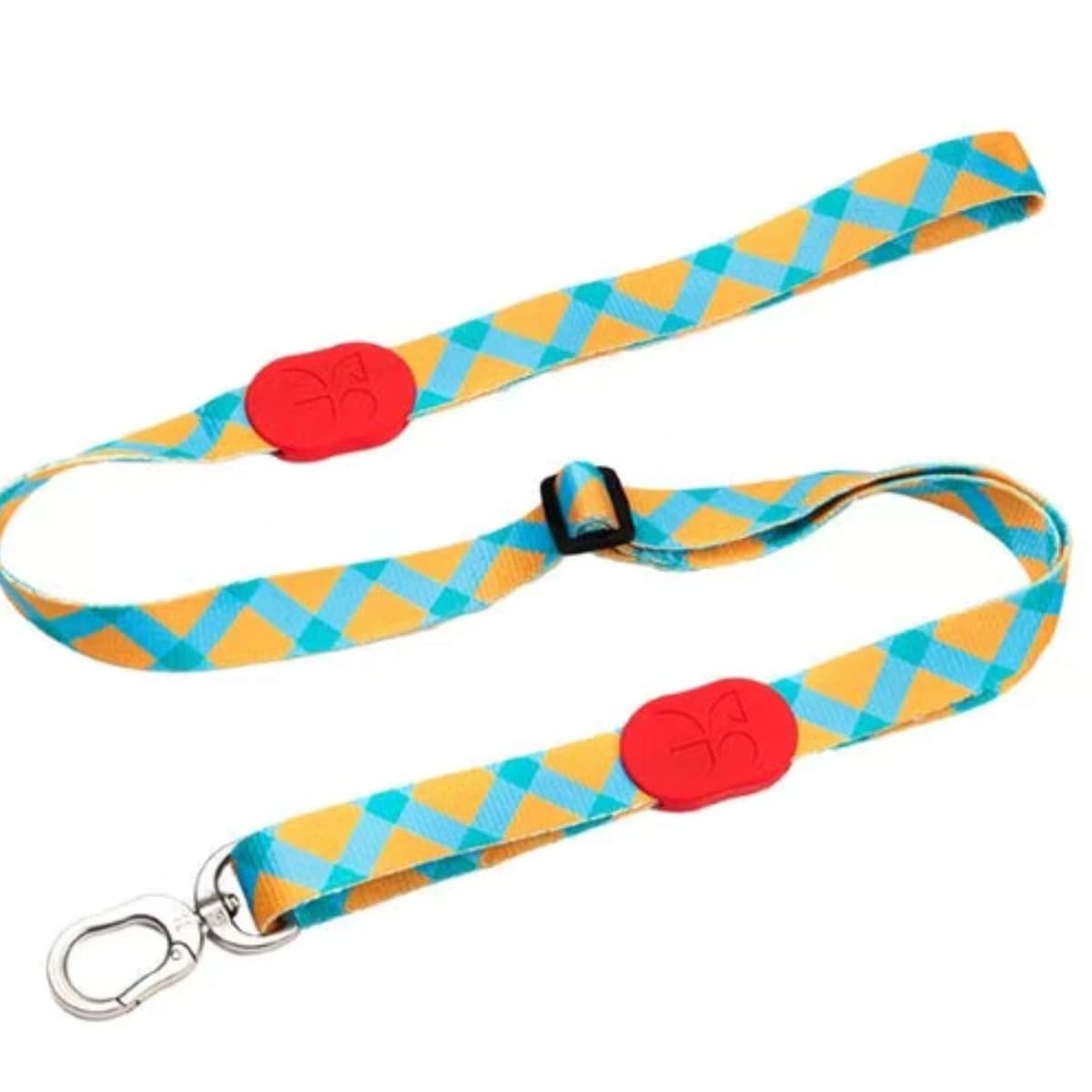 Fashion Dog Leash
