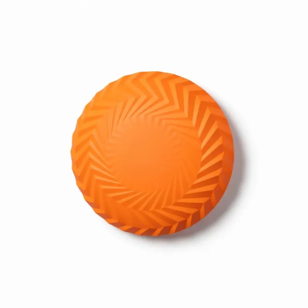 Dog Fisbee