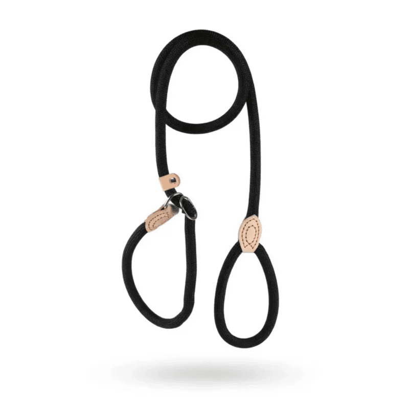 Slip Lead Dog Leash P